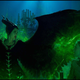 Looks like Maleficent and Sleeping Beauty were in King’s Landing this weekend.
